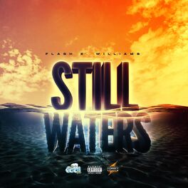 Album cover of Still Waters