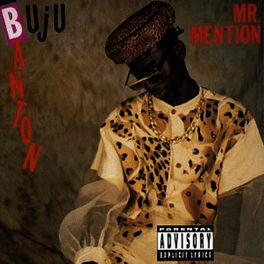 Album cover of Mr Mention