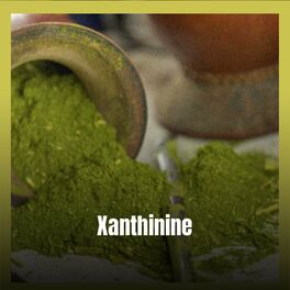 Album cover of Xanthinine