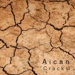 Album cover of Cracks