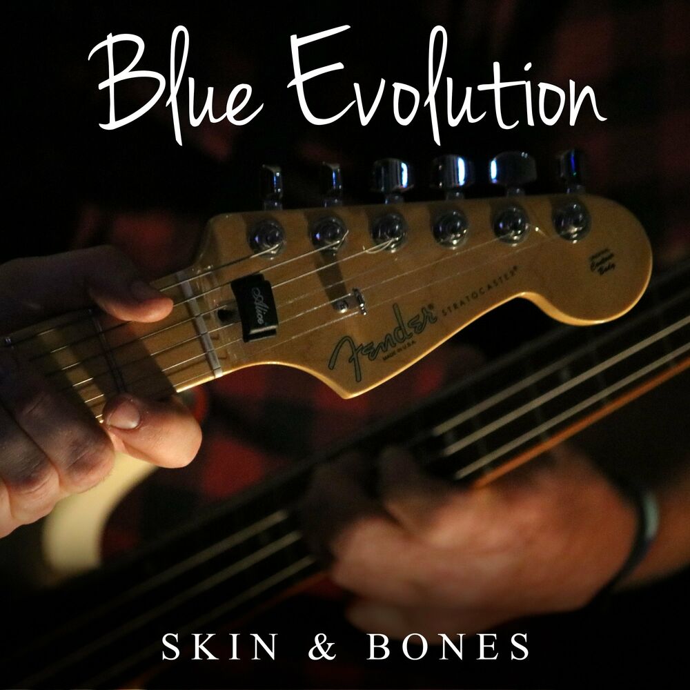 Skins bones песня. Skin and Bone. Evolution песни.