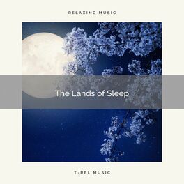 Album cover of 4 Sleep: The Lands of Sleep