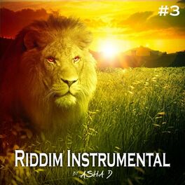 Album cover of Riddim Instrumental, Vol. 3 (Reggae)