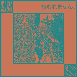 Album cover of I Can't Sleep