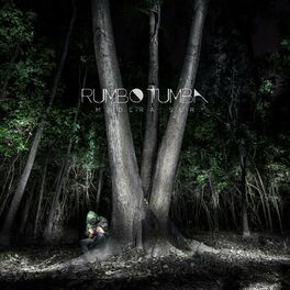 Album cover of Madera Sur