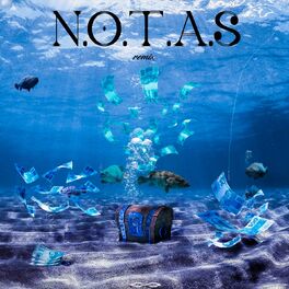 Album cover of N.O.T.A.S (remix)