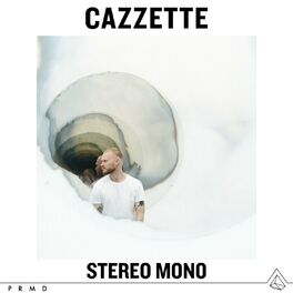Album cover of Stereo Mono