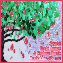 Album cover of Kızılcıklar Oldu Mu (Akustik)