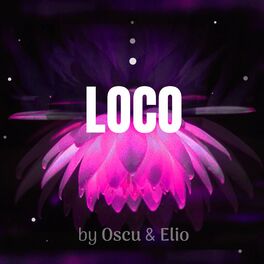 Album picture of Loco