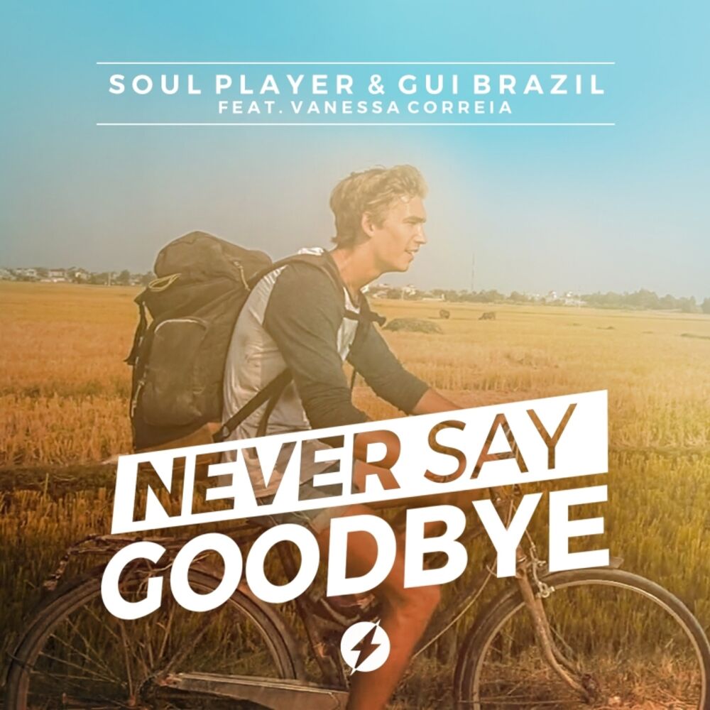 Never say Goodbye. Player Soul. Goodbye feat. Say Goodbye take me higher.