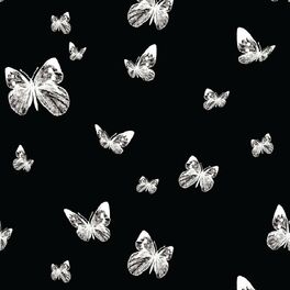 Album cover of butterflies. (feat. Cairo the Mask & FLYNN)