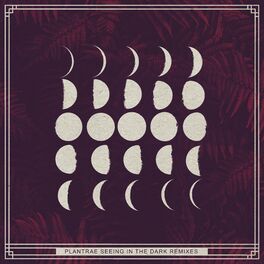 Album cover of Seeing in the Dark Remixes