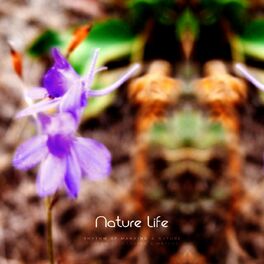 Album cover of Nature Life