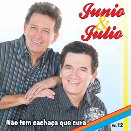 Album cover of Não Tem Cachaça Que Cura, Vol. 12