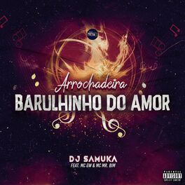 Album cover of Arrochadeira Barulhinho do Amor