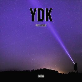 Album cover of YDK (feat. LECADE)