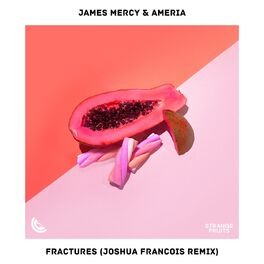 Album cover of Fractures (Joshua Francois Remix)