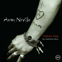 Album cover of Nature Boy: The Standards Album