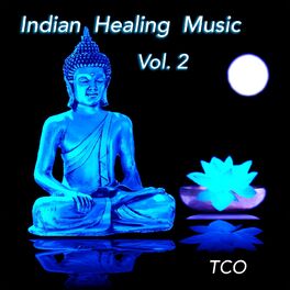 Album cover of Indian Healing Music Vol. 2 (Indian Music for Yoga, Meditation and Chill out, Performed on Indian Flutes, Tabla, Sitar, Drums an
