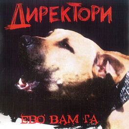Album cover of Evo vam ga