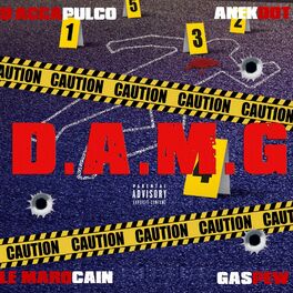 Album cover of D.A.M.G
