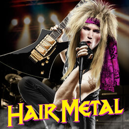 Album cover of Hair Metal