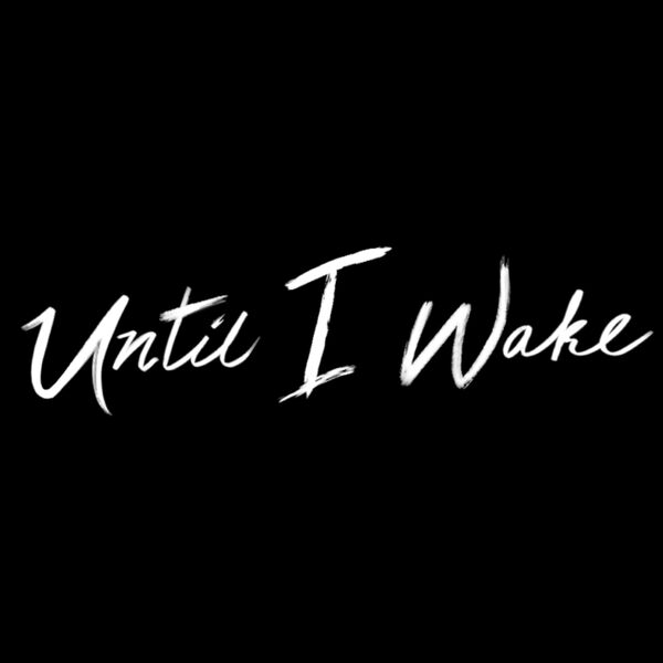 Until I Wake - Sinking Under [single] (2020)