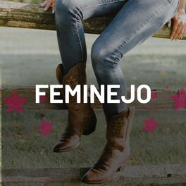 Album cover of Feminejo