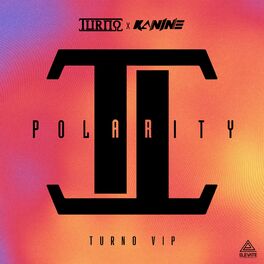 Album cover of Polarity (VIP)
