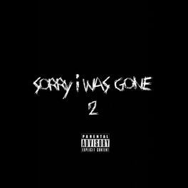 Album cover of Sorry I Was Gone 2