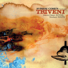Album cover of Introducing Triveni