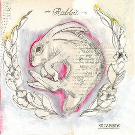 Album cover of Rabbit