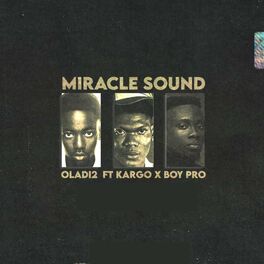 Album cover of Miracle Sound