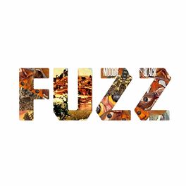 Album cover of Fuzz