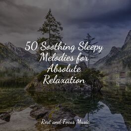 Album cover of 50 Soothing Sleepy Melodies for Absolute Relaxation