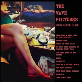 Album cover of Long Black Cars