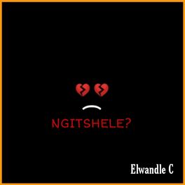 Album cover of Ngitshele?