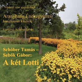 Album cover of Két Lotti