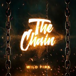 Album cover of The Chain