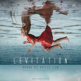 Album cover of Levitation 2