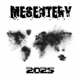 Album cover of 2025