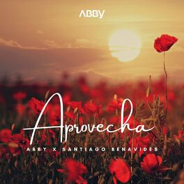 Album cover of Aprovecha