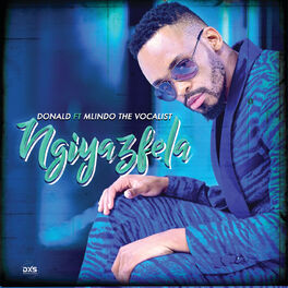 Album cover of Ngiyazfela