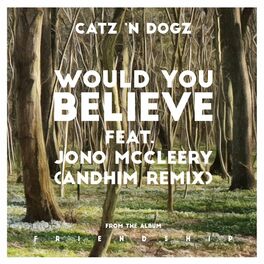 Album cover of Would You Believe (andhim Remix)