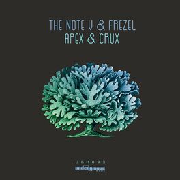 Album cover of Apex & Crux