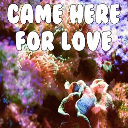 Album cover of Came Here For Love (Tribute to Sigala and Ella Eyre)