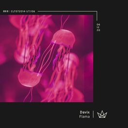 Album cover of Flama