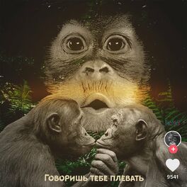 Album cover of Говоришь тебе плевать