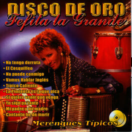 Album cover of Disco de Oro