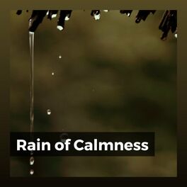 Album cover of Rain of Calmness